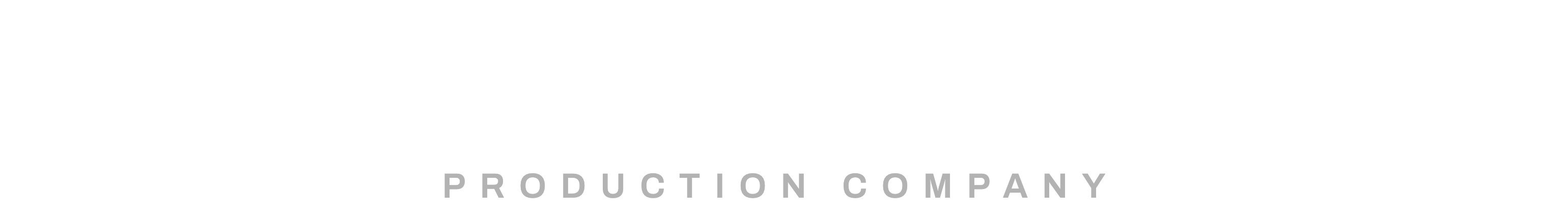 Dogma Visual Team — Production Company